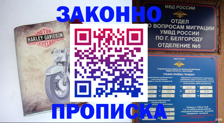прописка для школы в Бологом